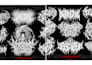 make your death metal, deathcore and black metal logo